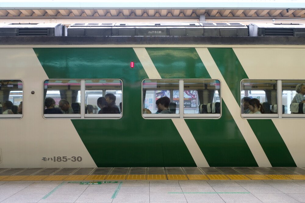 185系 踊り子 東京駅 : JR東日本 : 鉄道写真